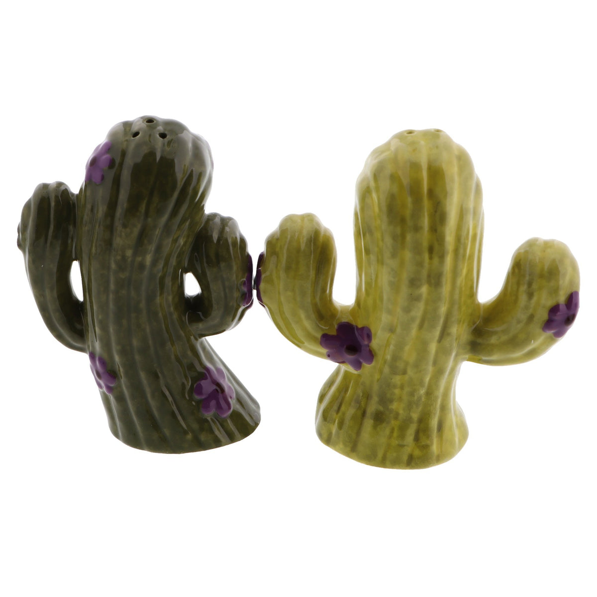 Novelty Magnetic Cactus Ceramic Salt & Pepper Shaker Set